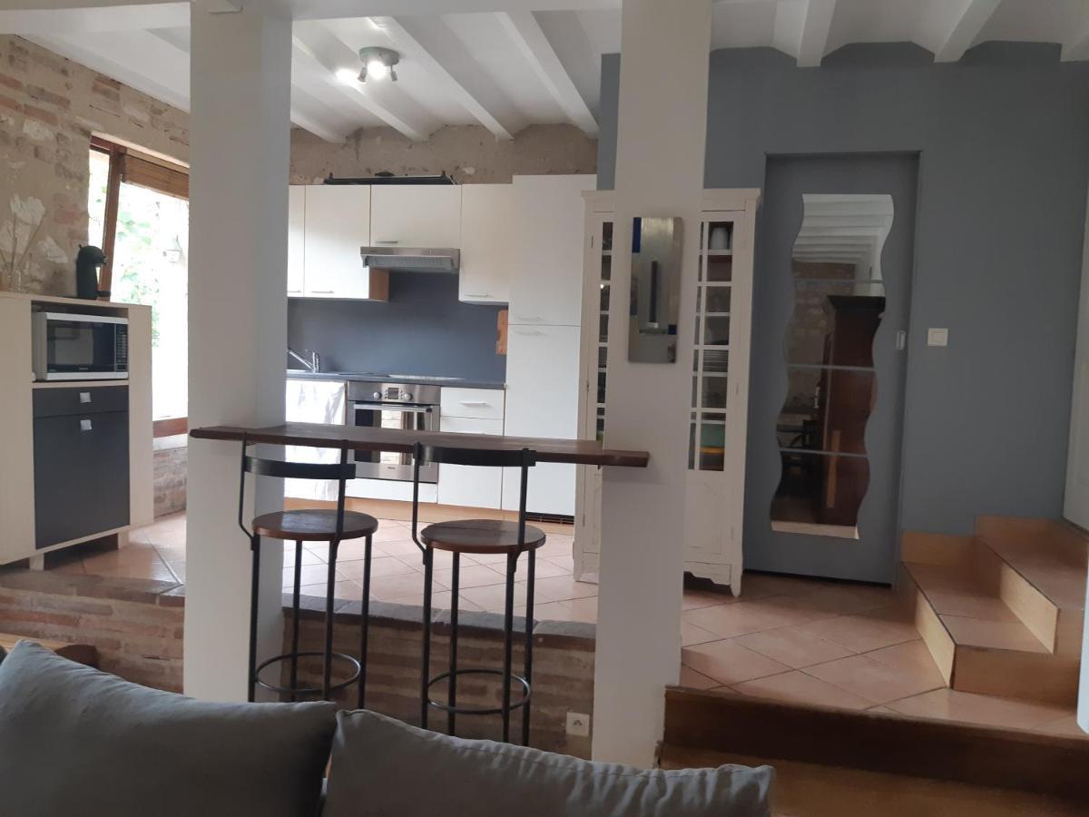 Charmant Appartement Vue Sur La Riviere. Albi Dış mekan fotoğraf