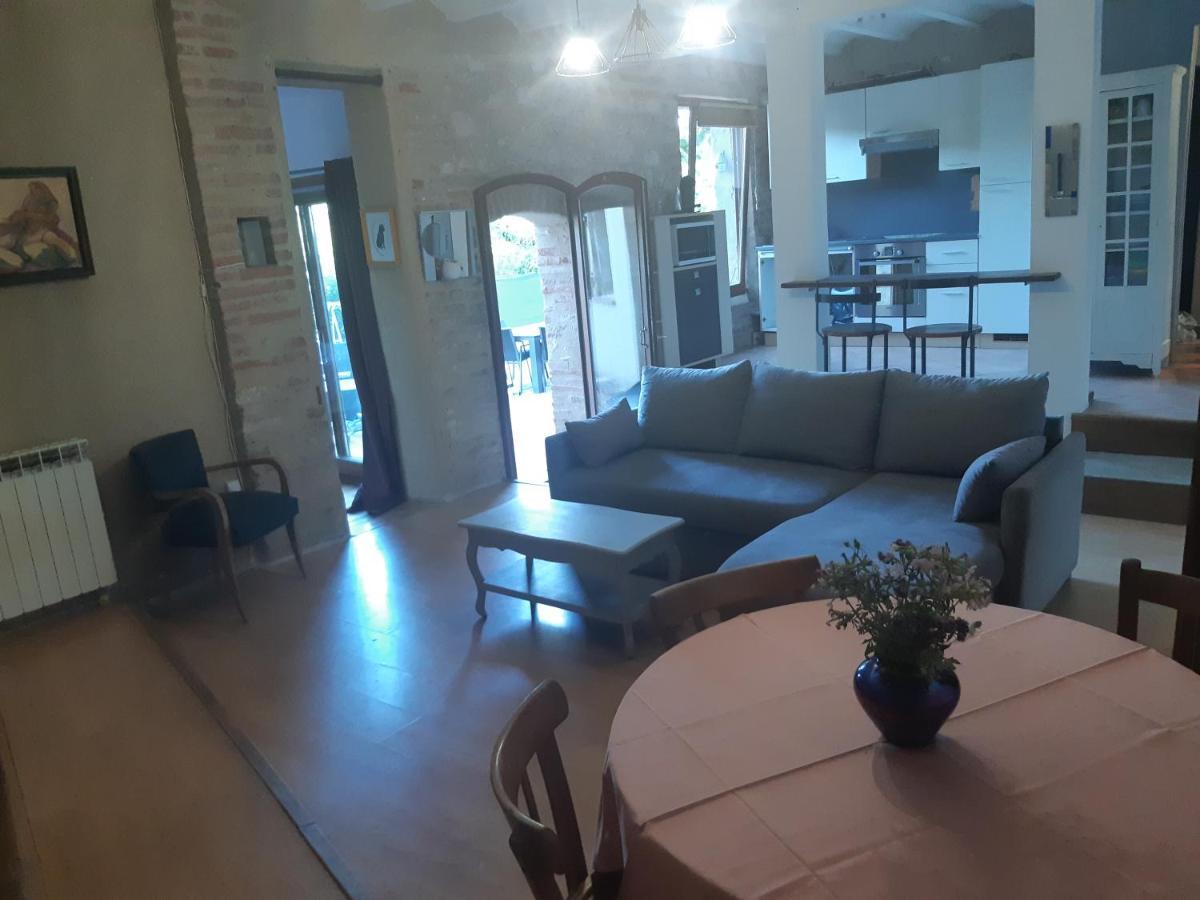 Charmant Appartement Vue Sur La Riviere. Albi Dış mekan fotoğraf